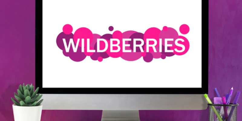 Wildberries Logo Color Scheme » Brand and Logo »