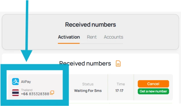 Copy Number