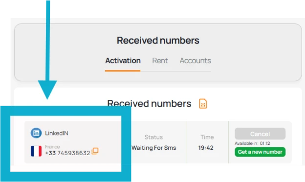 Use Virtual Number