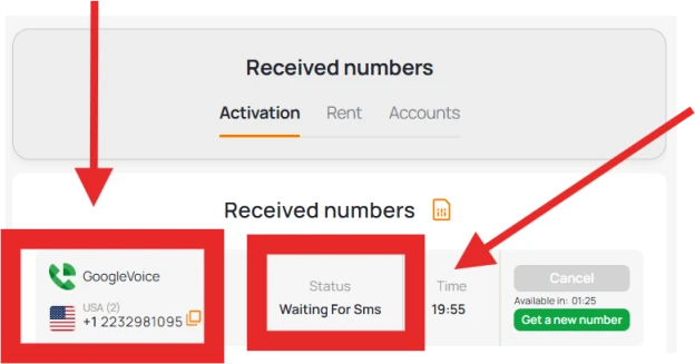 Copy and use rented number