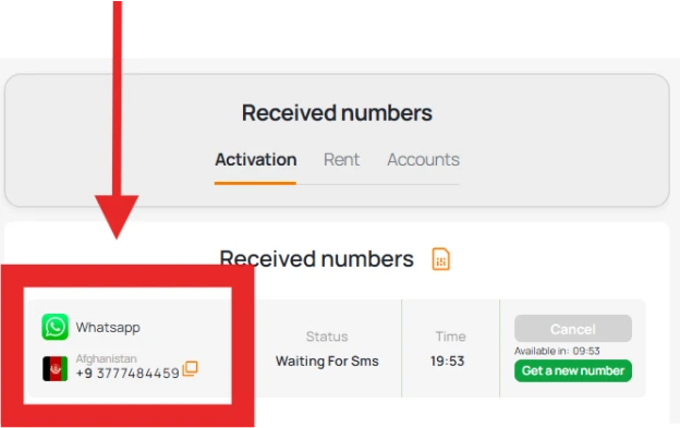 Copy number