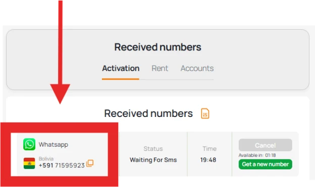 Copy number