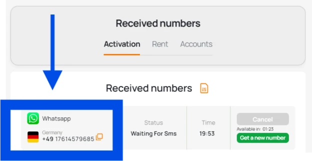 Copy number