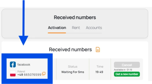 Copy number