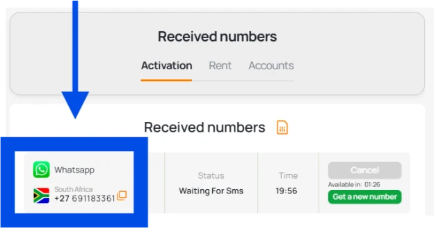 Copy number