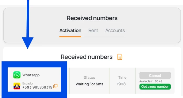 Copy number