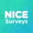 NiceSurveys