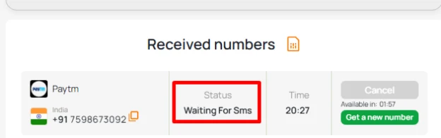 virtual number indian for paytm 