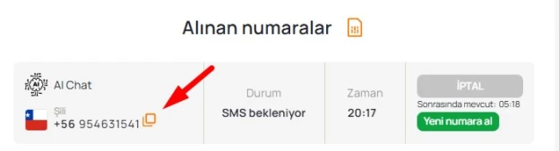 Oluşturulan numarayı 