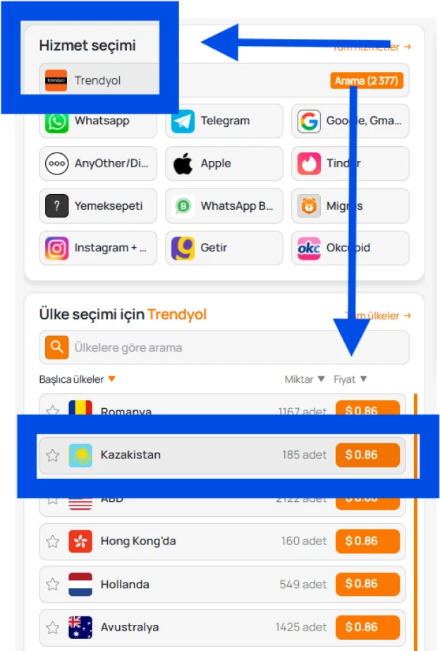 Hizmet ve bölge seçimi