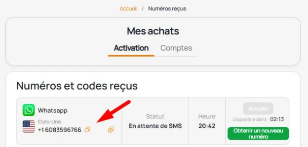 compte WhatsApp avec un numéro virtuel 