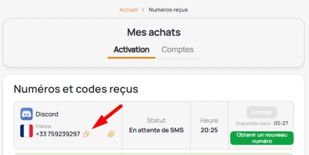 compte Discord avec un numéro virtuel