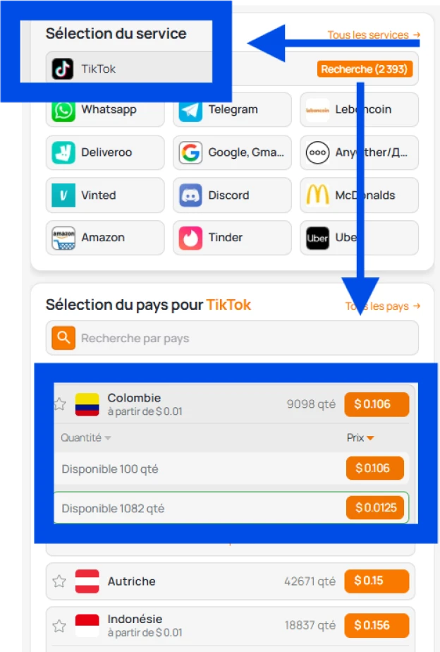 Choix d'un service et d'un pays