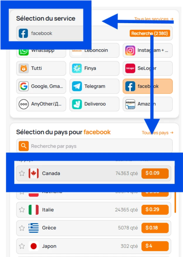 Choix d'un service et d'un pays